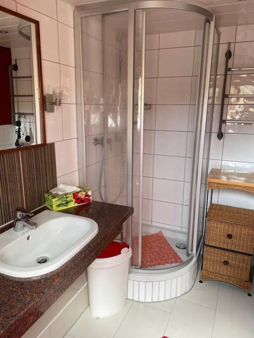 Traumhafte Maisonette-Wohnung Im Schwarzwald 프로이덴슈타트 외부 사진