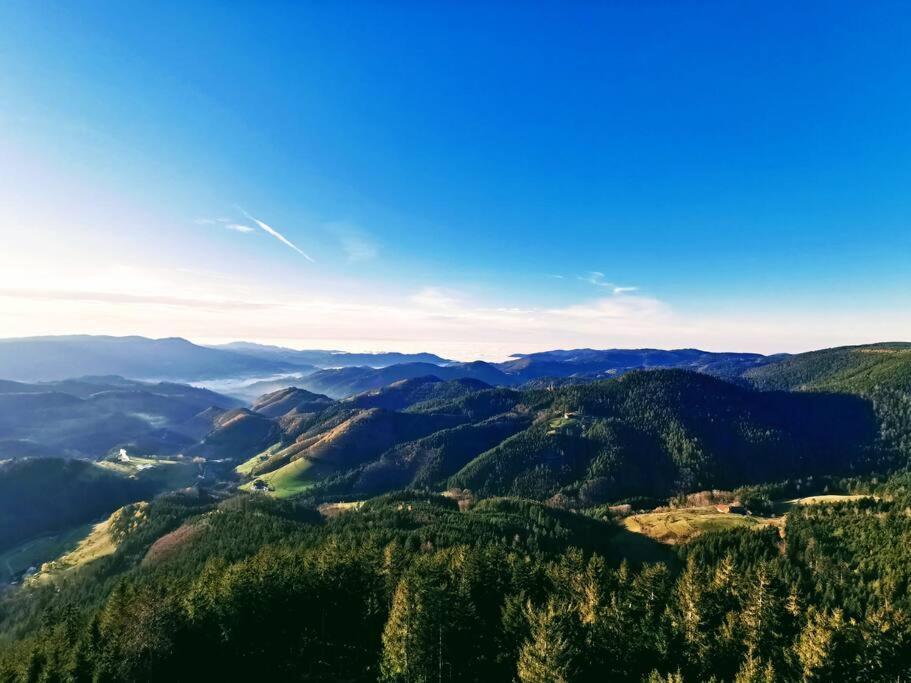 Traumhafte Maisonette-Wohnung Im Schwarzwald 프로이덴슈타트 외부 사진